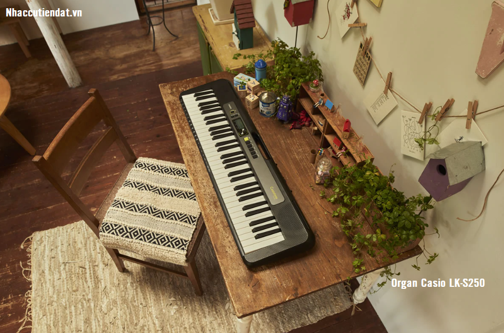Organ Casio phim sang